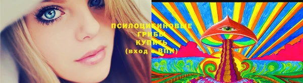 apvp Белокуриха