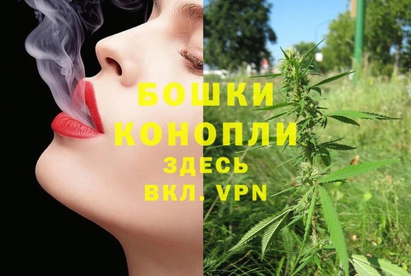 амф Белоозёрский