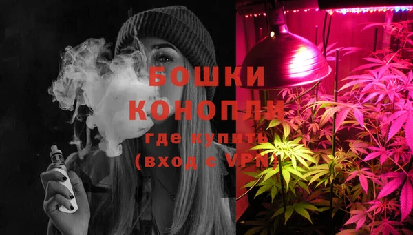 apvp Белокуриха