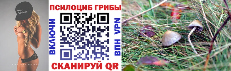 Псилоцибиновые грибы Psilocybine cubensis Ершов