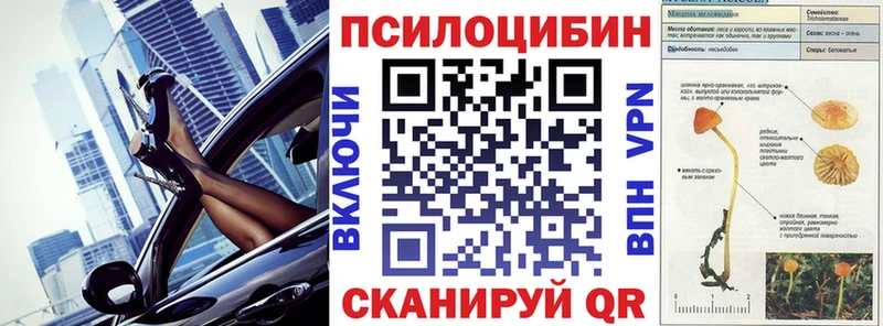 Псилоцибиновые грибы Psilocybe  OMG как зайти  Ершов  где найти  