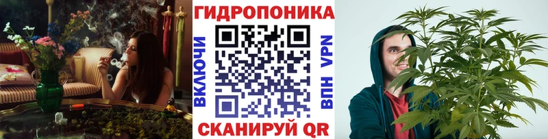 сколько стоит  Ершов  площадка наркотические препараты  Марихуана White Widow 